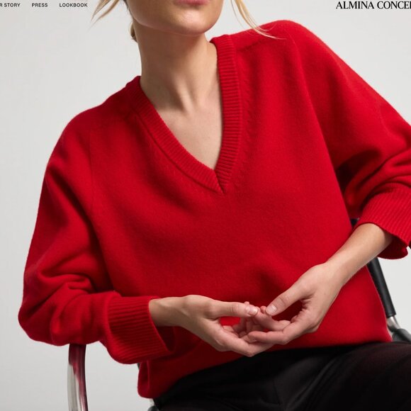 NWT Almina Concept Wool V Neck Sweater - Picture 5 of 9